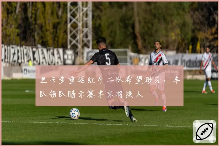 里卡多重返红牛二队希望渺茫，车队领队暗示赛季末将换人